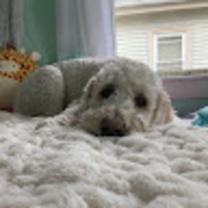 Meet your Posher, Karly